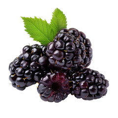 Wall Mural - Blackberry fruit PNG. Blackberries isolated. Blackberry top view PNG. Blackberries flat lay PNG