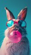 A cool looking rabbit enjoying a bubble gum with stylish sunglasses on a teal background