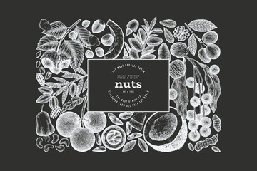 Wall Mural - Hand Drawn Nuts Branch And Kernels  Template. Organic Seed Vector Design. Retro Chalk Board Nut Illustration.