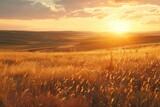 Fototapeta  - Golden sunset over a peaceful prairie with wild grasses swaying in the breeze nature landscape