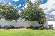 a landscaped tree and shrubs around a white pvc fence enclosing a large backyard