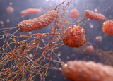 Fototapeta Krajobraz - Microbe infection. Close-up of rod-shaped bacteria with flagella and viruses floating. 3d rendering.