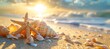 Golden hour at the seaside with starfish and shells illuminated by a beautiful sunbeam on the beach