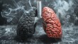 llustration of a smoker's lung as a concept for World No Tobacco Day and the smoking ban
