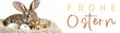 Frohe Ostern Konzept Feiertag Grußkarte lang, mit deutschem Text - Osterhase, Kaninchen Hase sitzt in Nest mit Wachteleiern Ostereier, isoliert auf weissem Hintergrund Banner Panorama