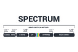 Fototapeta  - Visible light diagram. Color electromagnetic spectrum, light wave frequency. Educational school physics vector background. Illustration of spectrum diagram rainbow, infrared and electromagnetic