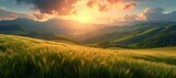 Fototapeta Natura - The golden rays of sunrise illuminate a lush wheat field surrounded by mountains