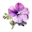 Watercolor vector Purple malva flower with leaves, isolated on white background, Drawing Illustration and vector clipart.