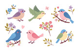 Fototapeta Pokój dzieciecy - Set of cute spring songbirds and flowers. Vector graphics.