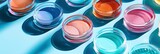 Fototapeta  - Exploring Beauty Science, Gel Cosmetic Samples Presented in Petri Dish Against Blue Background, Casting Striking Hard Shadows