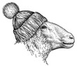 © Turaev - Vintage engraving isolated lamb glasses dressed fashion set illustration ram ink sketch. Farm animal sheep background mutton silhouette sunglasses hipster hat art. Black and white hand drawn image