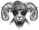 Fototapeta  - Vintage engraving isolated lamb glasses dressed fashion set illustration ram ink sketch. Farm animal sheep background mutton silhouette sunglasses hipster hat art. Black and white hand drawn image	
