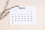 Fototapeta Panele - Flat lay, top view of paper desk calendar for March 2024, willow plant branches on isolated pastel beige background