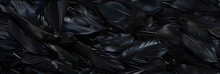 A Collection Of Black Chicken Feathers