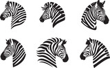 Fototapeta Konie - Zebra vector illustration
