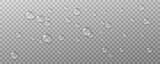 Fototapeta Łazienka - Realistic vector water drops png on a transparent light background. Water condensation on the surface with light reflection and realistic shadow. 3d vector illustration
