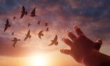 Fototapeta Psy - Praying hands and bird dove flying