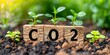 Seedlings Rising from CO2: Natures Symbolic Answer to Climate Change, Generative AI