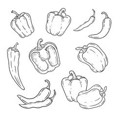 Wall Mural - set of bell pepper illustration in doodle style. hand drawn bulgarian pepper. sketch red hot chili p