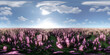 Field of purple flowers under a blue sky 360 panorama vr environment map 3d render illustration