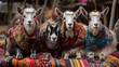 Cute little goats in traditional colorful Peruvian ponchos