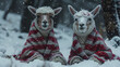 Llamas in pajamas in the snow