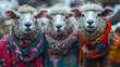 Sweet Sheep with colorful ponchos in Peru