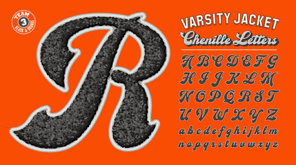 letter jacket style collegiate letters in the style of a sew-on patch. chenille fabric with embroide