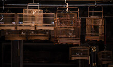 Chinese Traditional Birdcages In Market. Beijing, China