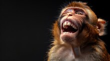 A Smiling Barbary Macaque Monkey, Teeth Bared In A Humorous Grin, Isolated Against A Black Background, A Funny Portrait That Captures The Playful Nature Of This Fascinating Animal, AI Generative