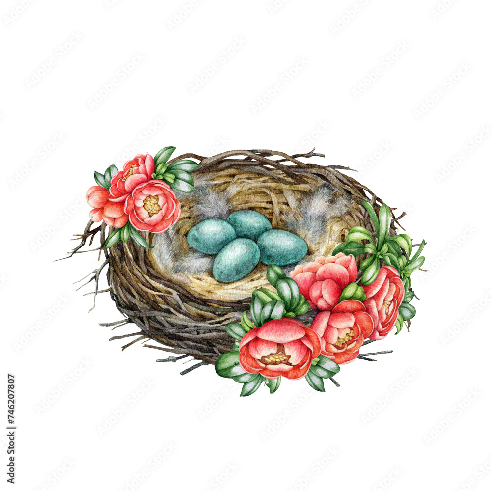 Bird nest with eggs with spring flowers decor. Watercolor painted ...