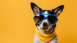 A dog wearing sunglasses and shirt for summer on yellow background, upcoming summer concept