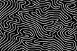 © Hamburn - abstract black and white wave squiggle doodle fingerprint style maze pattern background banner