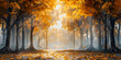 © Faiza - Autumn forest road in autumn leaves and tree background and morning sunlight in the background   A forest landscape with a river and trees with a sunlight  in the background and wallpaper