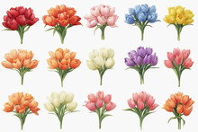 Set Of Flowers 64, Tulips,