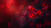Top View And Close-up Image Of Beautiful Blooming Red Rose Flowers In Corner On Red Blur Background With Copy Space
