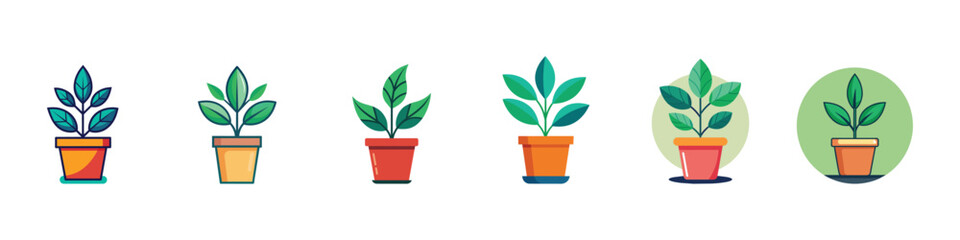 Wall Mural - tropical leaves in stylish planters and pots., indoor and outdoor landscape garden potted plants, po