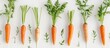 A neat row of fresh, uncut carrots with vibrant green tops and leaves, each individual carrot distinct against a white background. The carrots appear healthy and ready for harvesting.