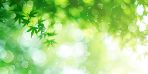  green leaves blurred light background, green Spring bokeh nature abstract background , green leaves with sunlight , banner