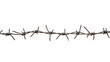 © Sim - barbed wire on transparency background PNG