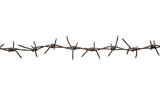 Fototapeta  - barbed wire on transparency background PNG
