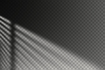 Wall Mural - light effect shadow overlay from window isolated transparent background.
