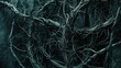 Abstract twisted vines and thorns entangled in darkness. Mysterious, eerie, tangled, sinister, creepy, wild, overgrown, shadowy, vegetation. Generated by AI.