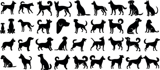 Wall Mural - Dog silhouette set, diverse breeds, standing, sitting positions, dog vector illustration, black shapes, perfect for pet themed designs, isolated on white