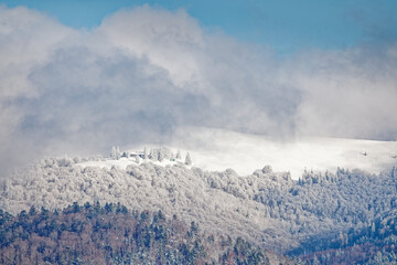 Sticker - Neige dans les Vosges