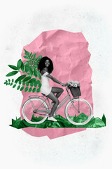 Poster - Vertical collage picture of lovely positive black white colors girl ride bike fresh flowers basket big plant leaves isolated on paper background