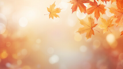 Wall Mural - maple leaves on abstract blurred background with bokeh copy space, light bright autumn background fo