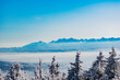 winter panorama of the Tatra Mountains seen from Babia Góra