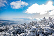 winter panorama of the Tatra Mountains seen from Babia Góra