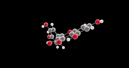 Canvas Print - Quercetin molecule, rotating 3D model of plant flavonol, looped video on a black background